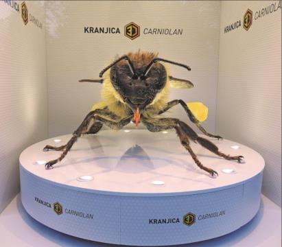 Posnetek zaslona 2021-10-12 074639